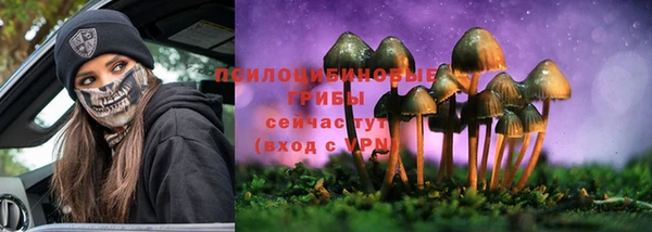 mdpv Янаул