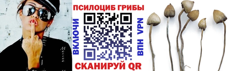 Псилоцибиновые грибы мицелий  это какой сайт  Собинка 